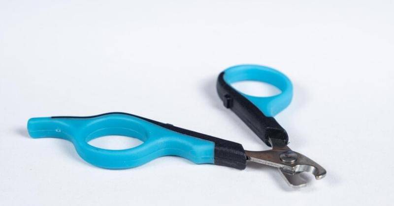 Freepik/Zarinalukash