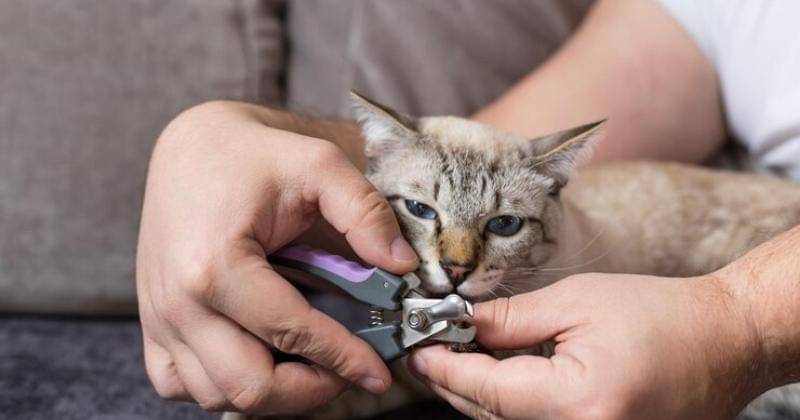 Freepik/Ludmilanaumova1985