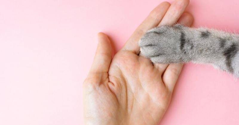 Freepik/User12169301