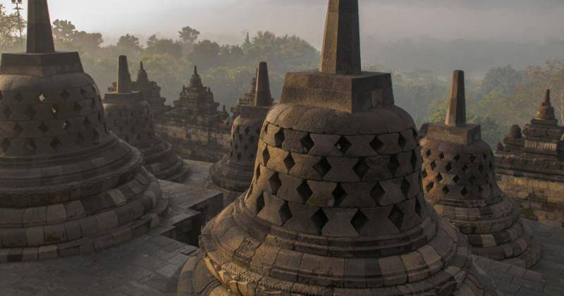 Unsplash/Manya Krishnaswamy