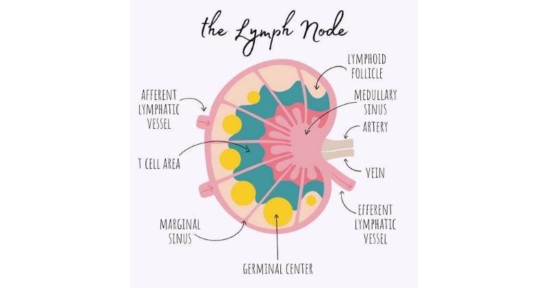 Instagram.com/TheNerdyGradStudent