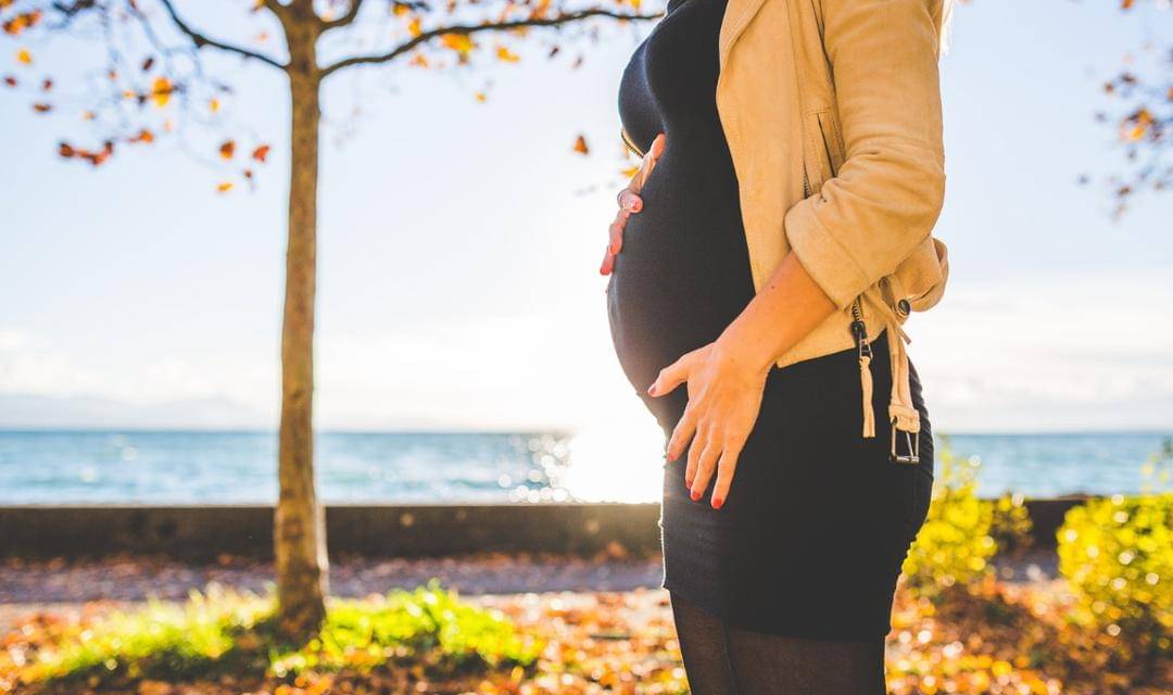 Pexels/Negative Space