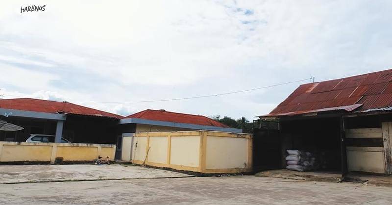 Youtube.com/The Harlinos Story