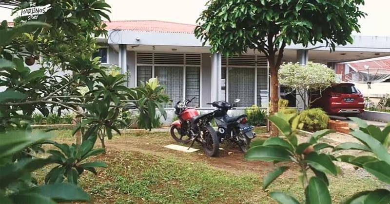 Youtube.com/The Harlinos Story