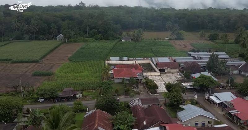 Youtube.com/The Harlinos Story