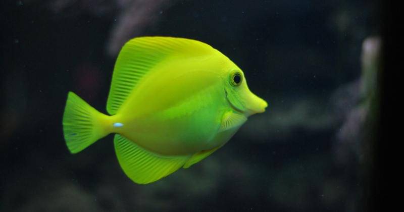 Unsplash/Gábor Szűts