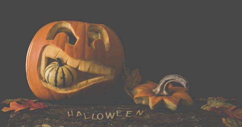 Pexels/Ylanite Koppens