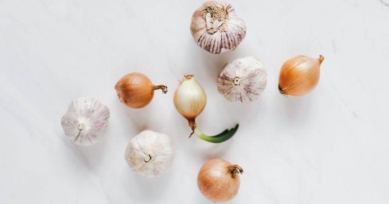 Pexels/Karolina Grabowska