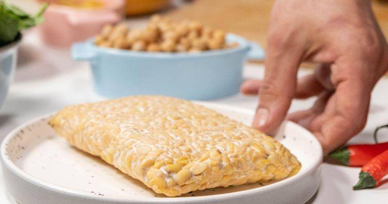 pexels.com/@cottonbro