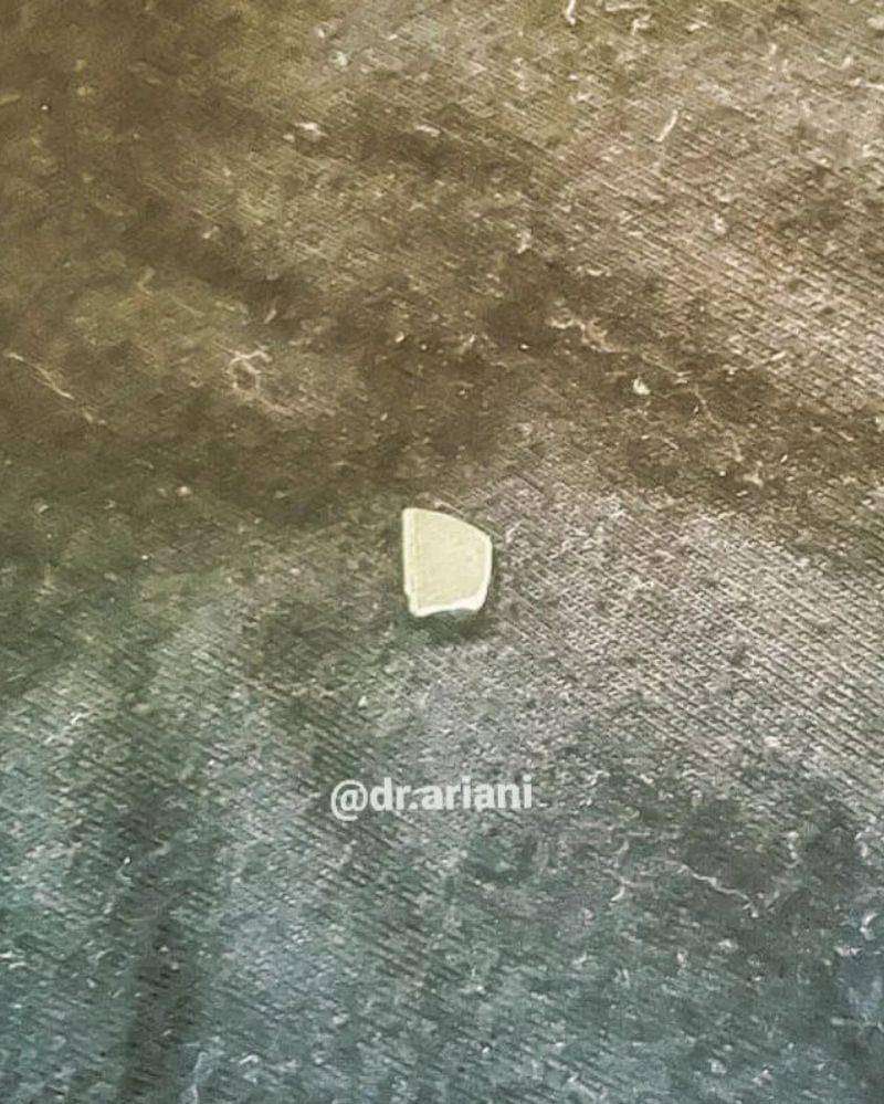 Instagram.com/dr.ariani