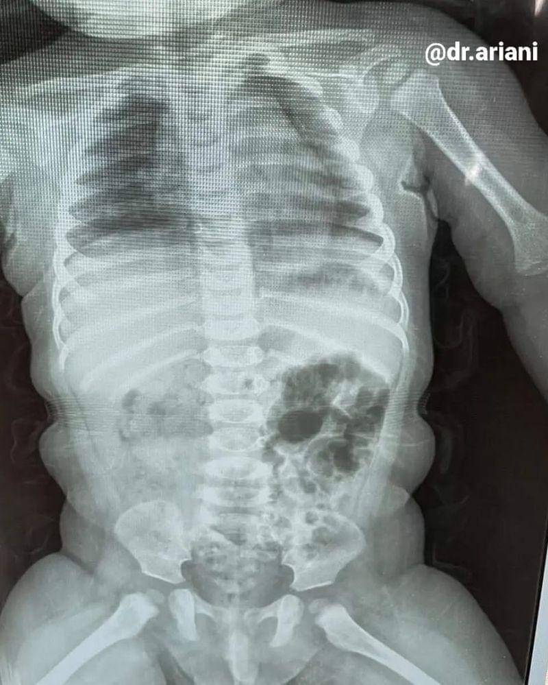 Instagram.com/dr.ariani