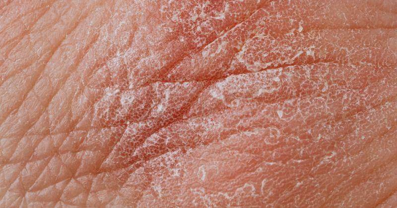 pexels.com/@karolina-grabowska