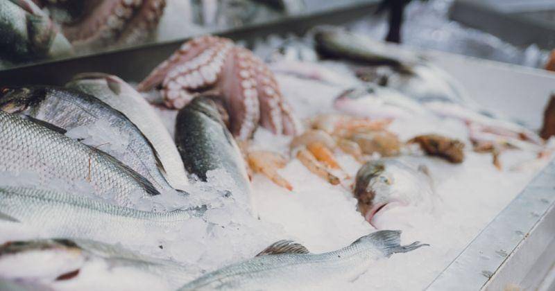 Pexels/Bert Christiaens