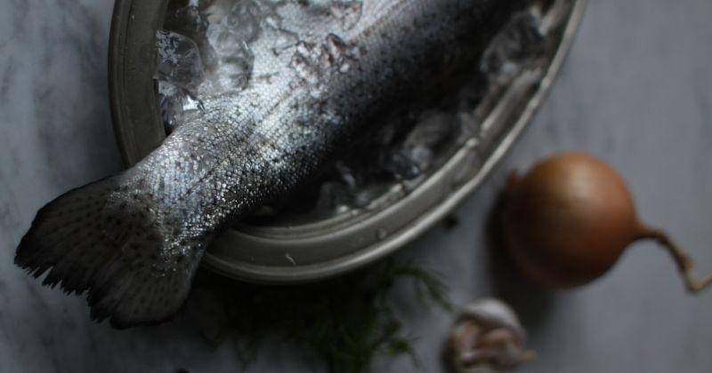 Pexels/Диана Дунаева