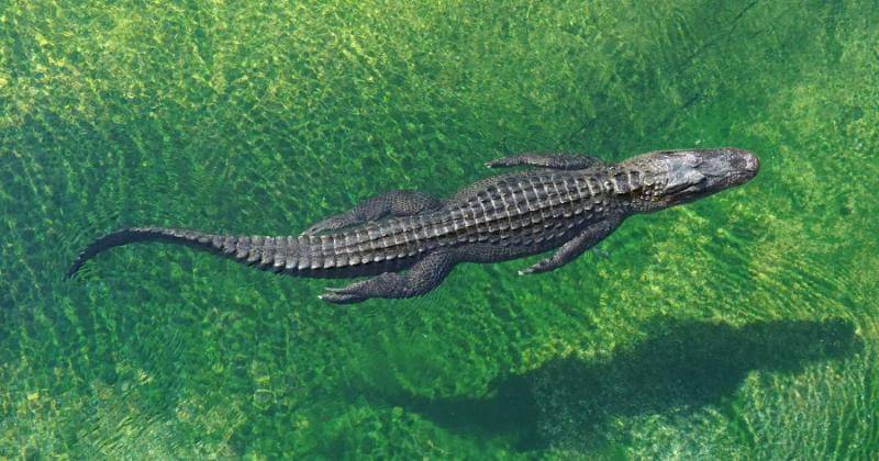 Unsplash/Shelly Collins