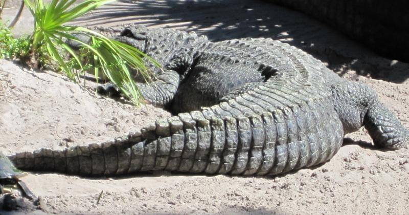 Pixabay/Louise Donnelly