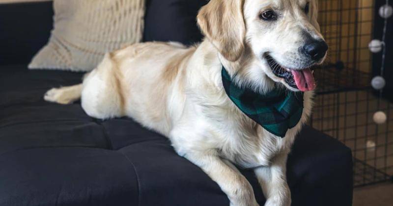 Freepik/PV Productions