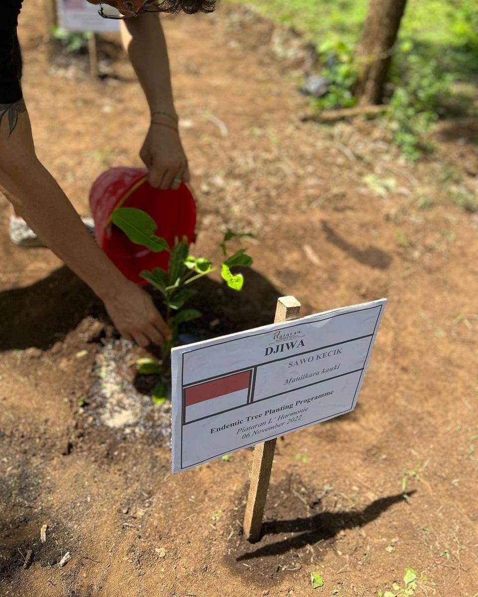 Instagram.com/NadineList