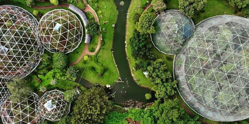 Instagram/tmiiofficial