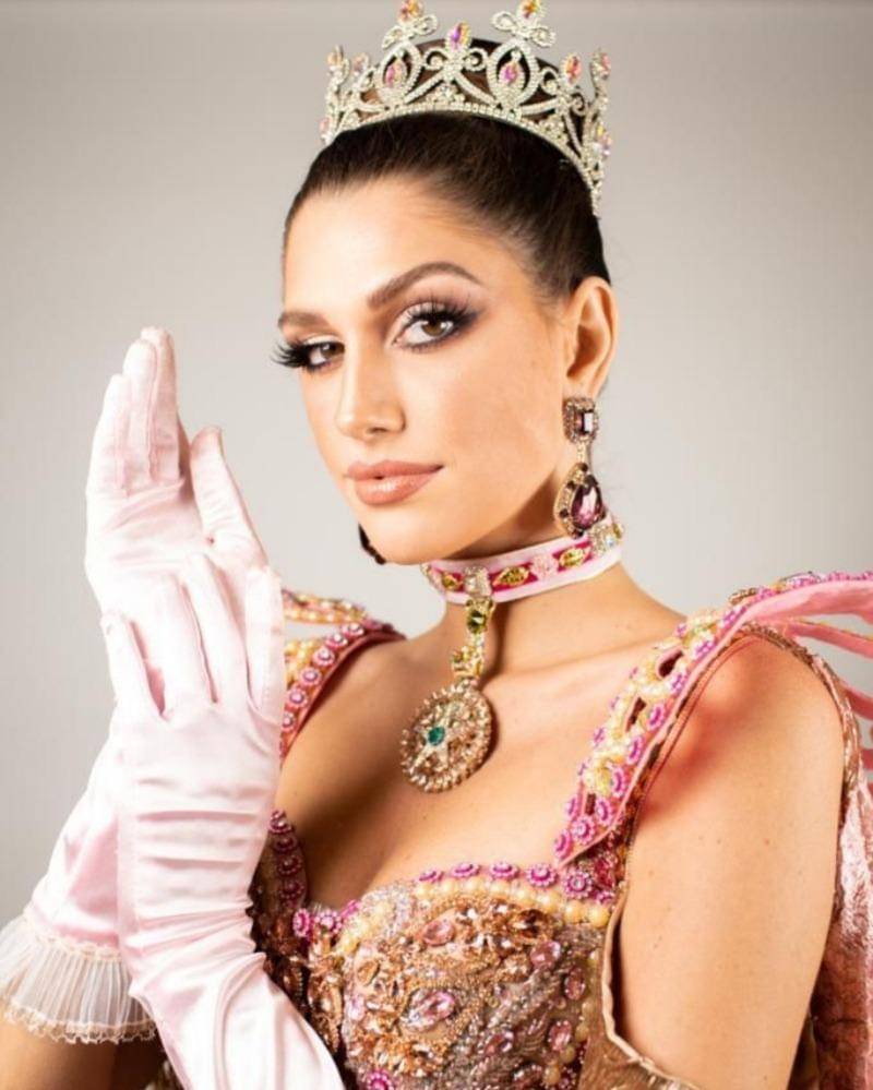 Dok. Artisan Professional