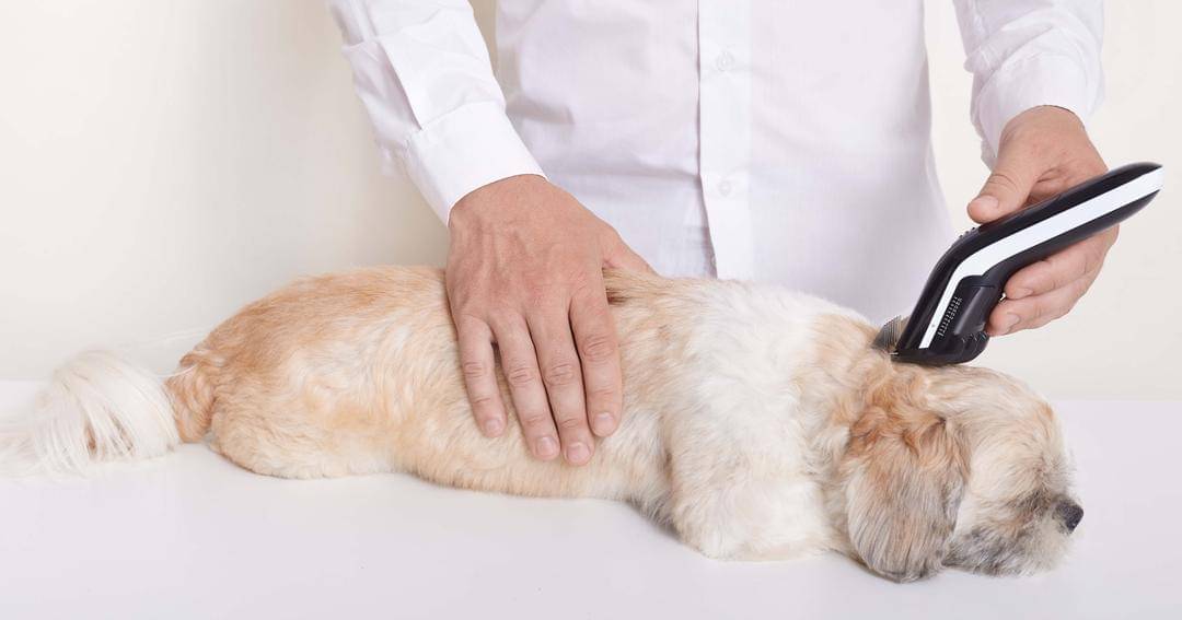 Freepik/user18526052