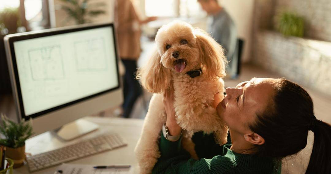 Freepik/Drazen Zigic