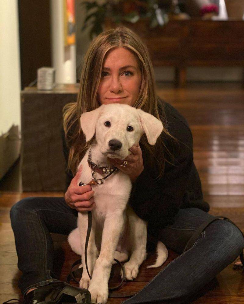 Instagram.com/@jenniferaniston