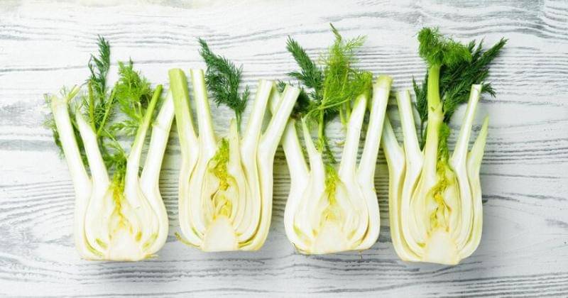 Freepik/Yarunivstudio