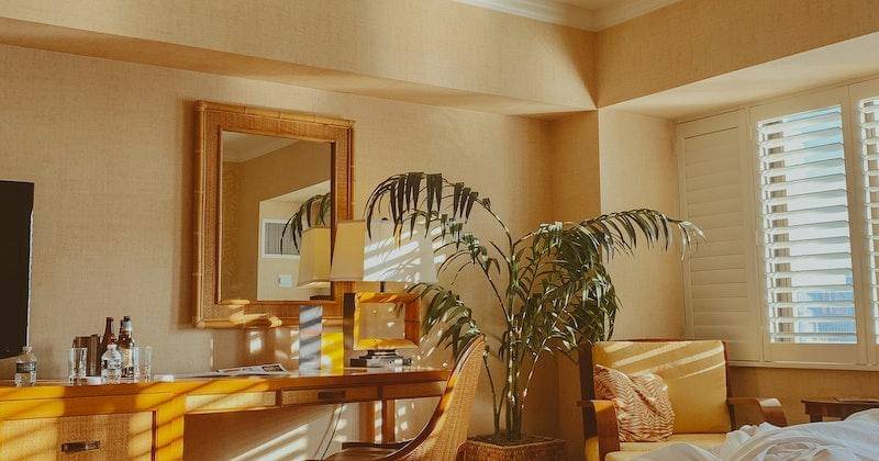 Pexels/Anastasiia Goncharova