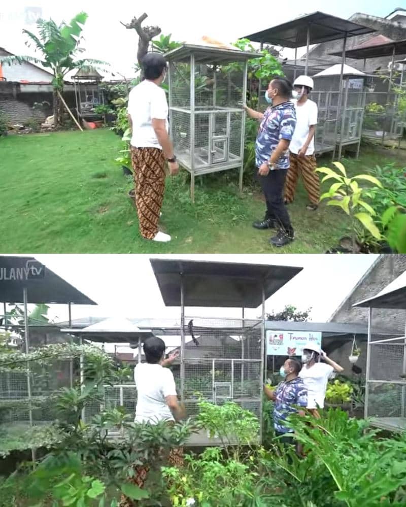 YouTube.com/TAULANY TV