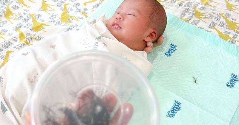 Instagram.com/yuanitarohali