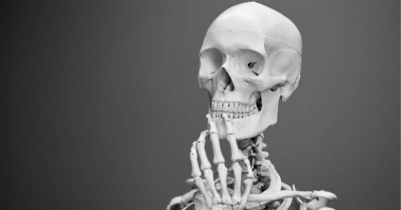 Unsplash/Mathew Schwartz