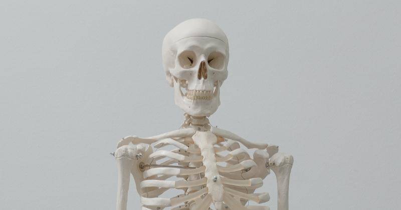 Pexels/Tima Miroshnichenko