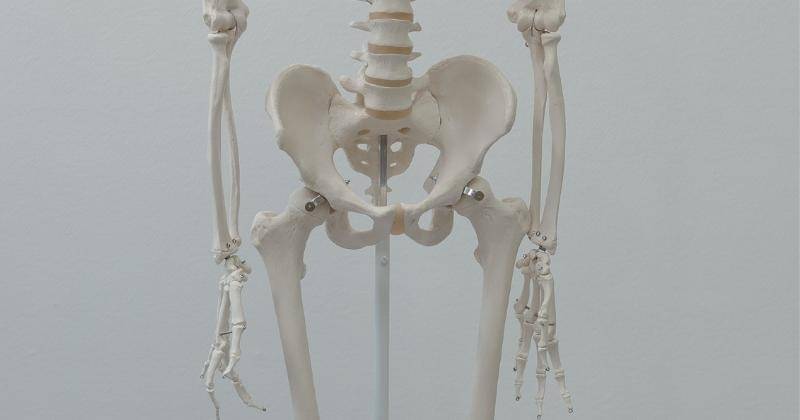 Pexels/Tima Miroshnichenko