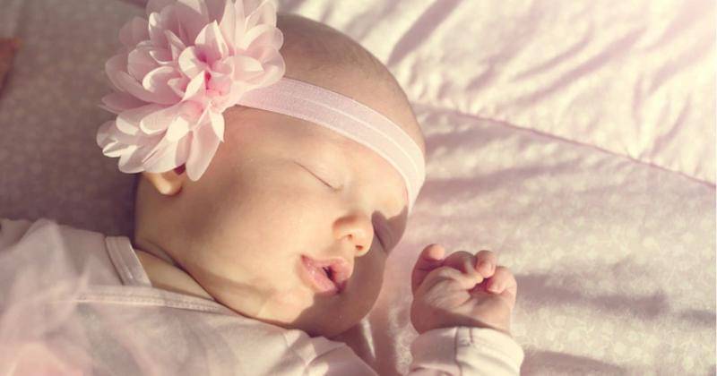 Freepik/valeria_aksakova