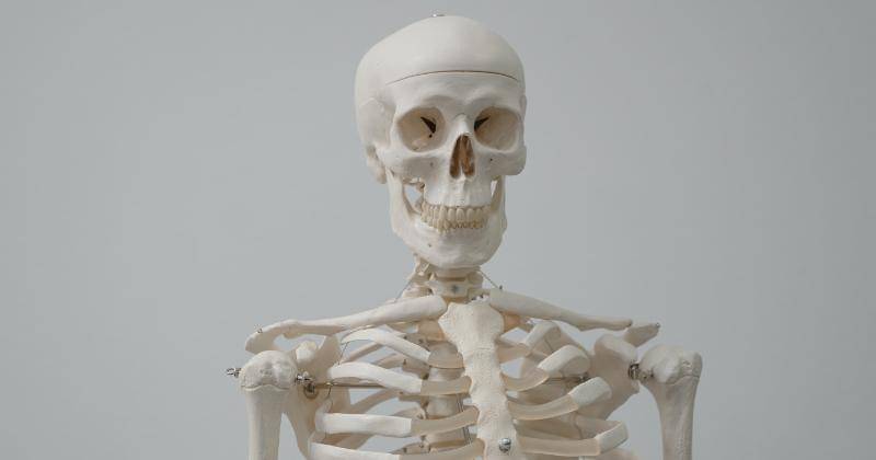 Pexels/Tima Miroshnichenko