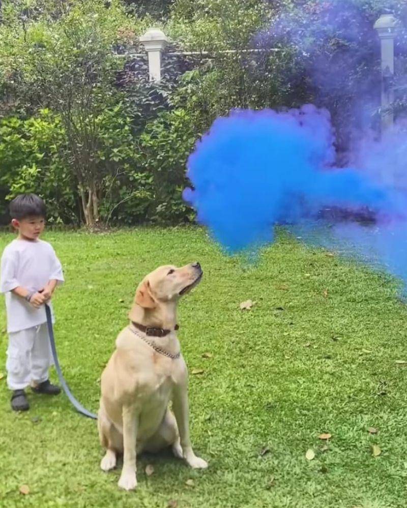 Instagram.com/@arnoldpo