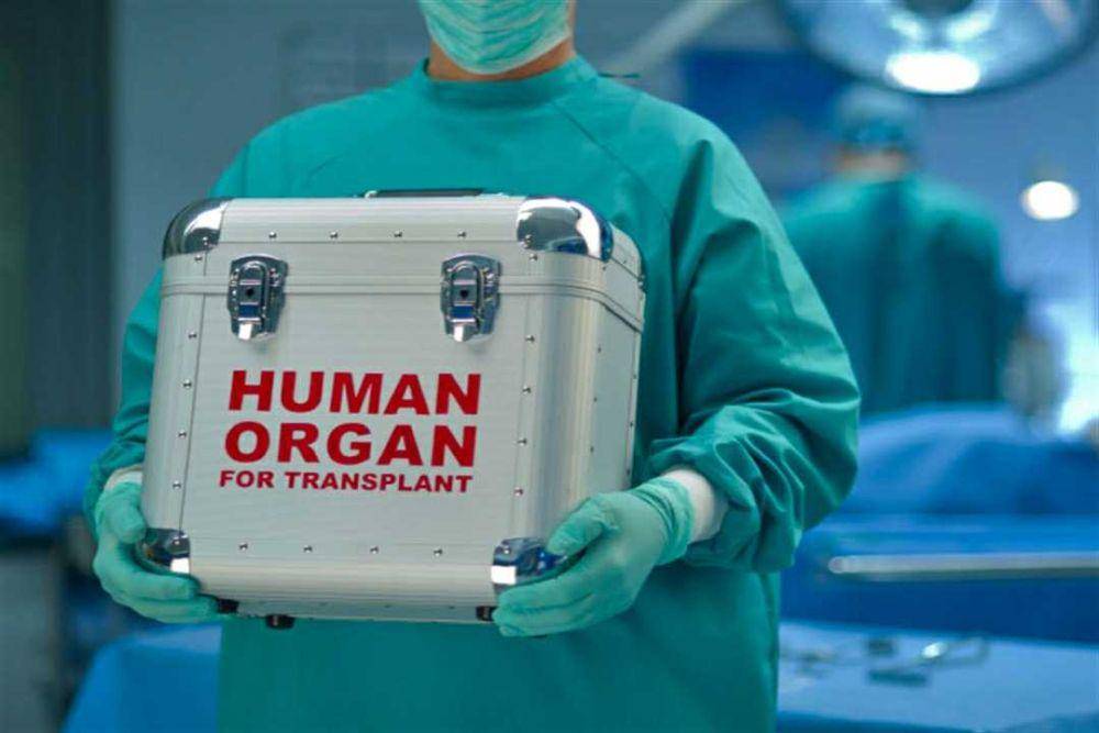 ilustrasi membawa organ transplantasi (financialtribune.com)
