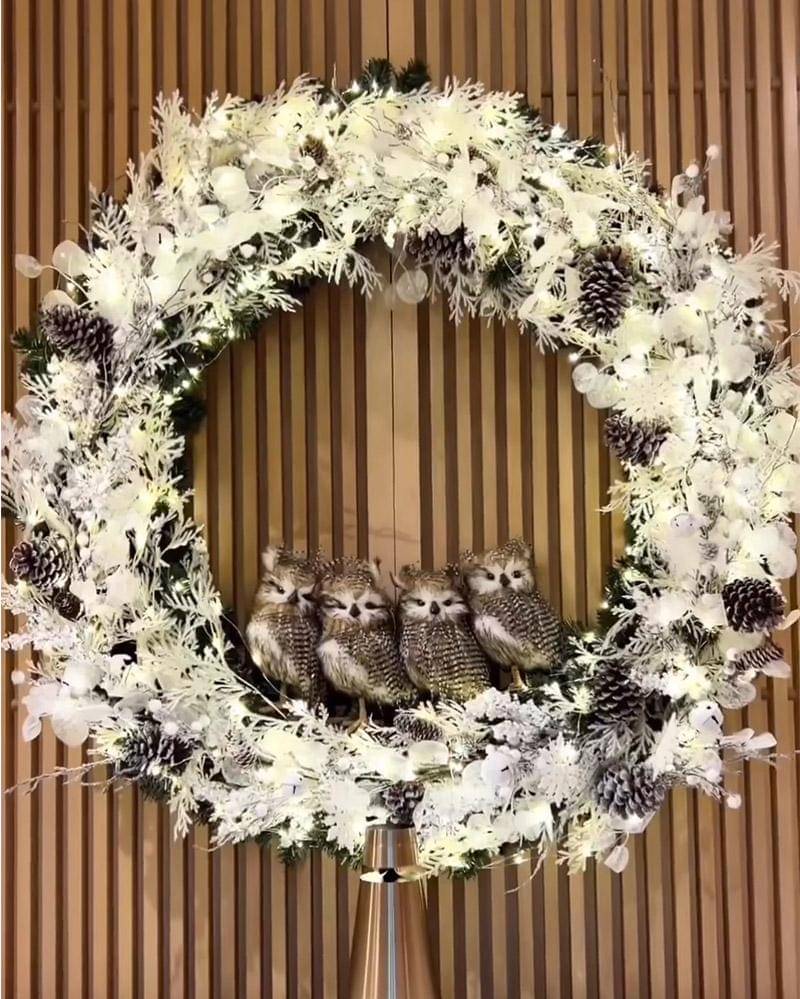 Instagram.com/sandradewi88