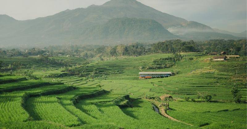 Unsplash/ardito ryan Harrisna