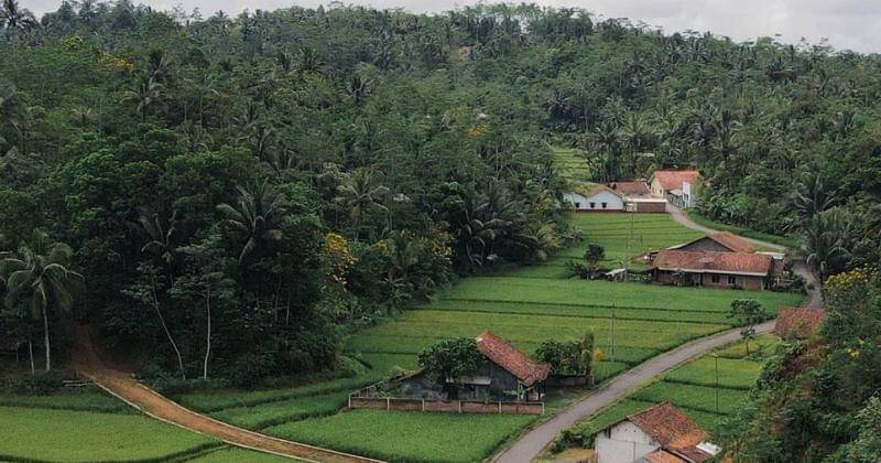 Instagram.com/purwokertoonline