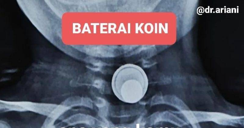 Instagram.com/dr.ariani