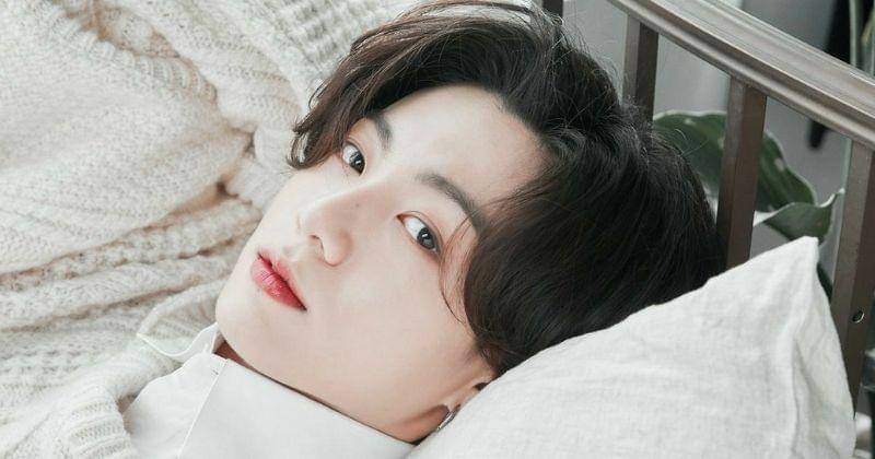 Pinterest.com/내연 토끼