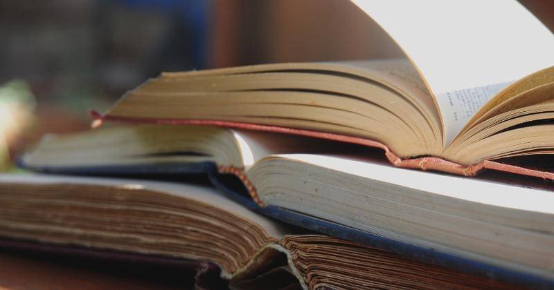 Pexels/ Madison Inouye