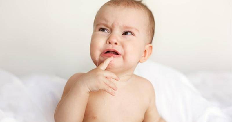 Freepik/cookie_studio