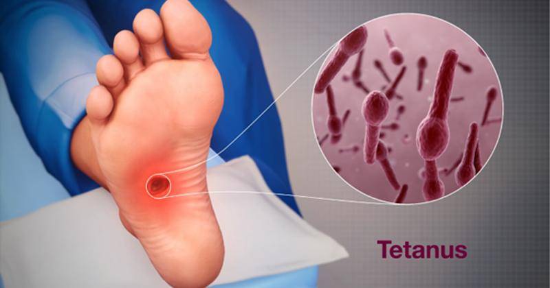 www.scientificanimations.com