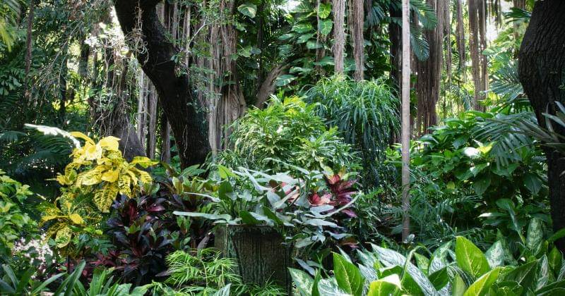 Unsplash/Enrique Ortega Miranda