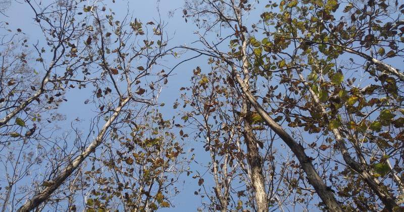 Unsplash/shutterbugs_3130