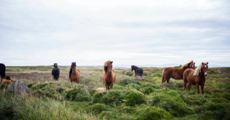 Unsplash/Bethany Legg