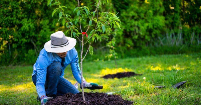 Pexels/Alfo Medeiros